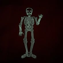 Load image into Gallery viewer, SKELETON - Glow In The Dark
